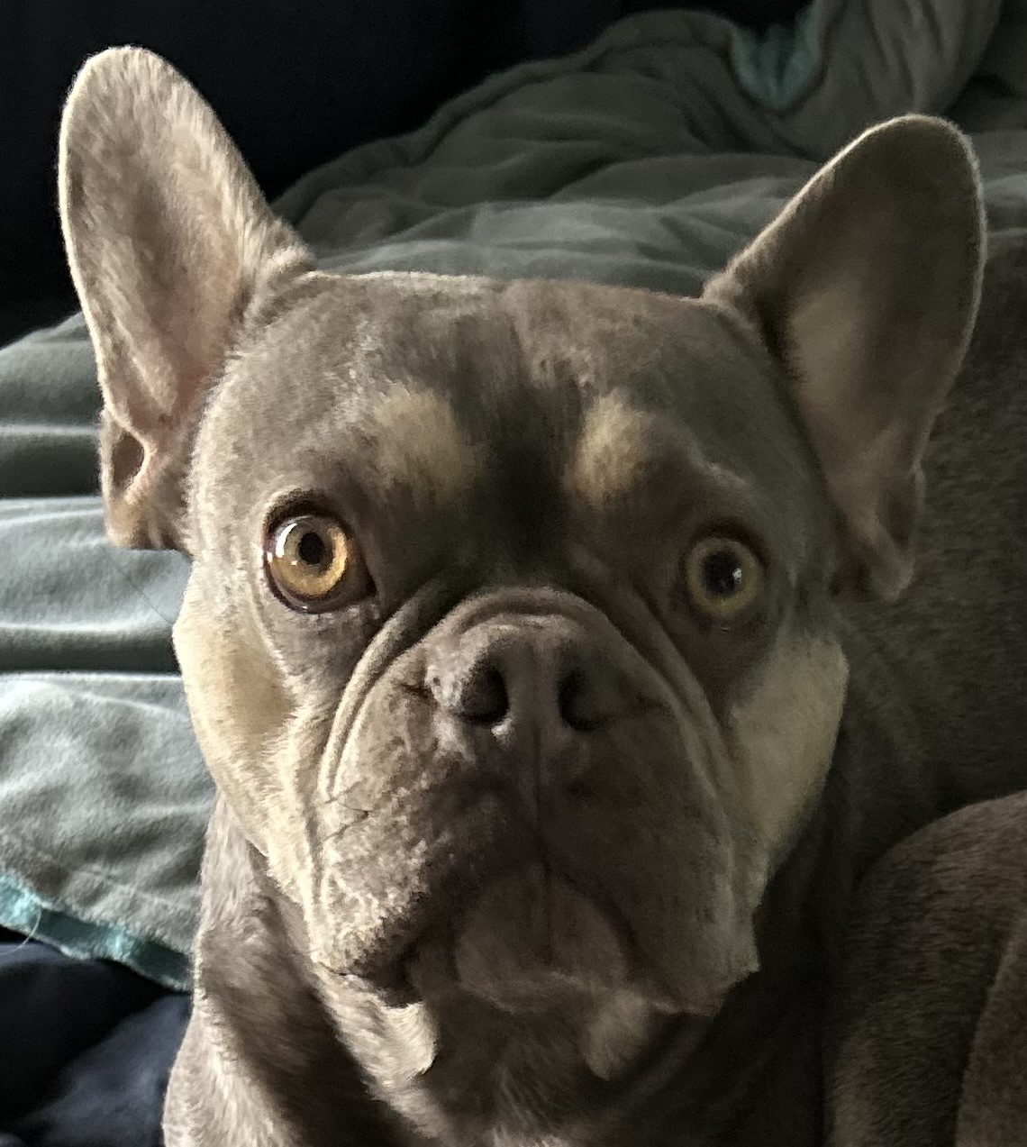 wally